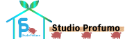 Studio Profumo
